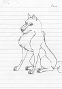 Aniu