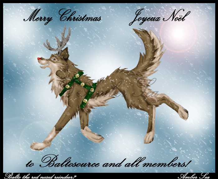 Merry christmas Baltosource!