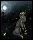 Fireflies with Firefly! :D