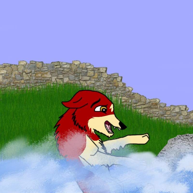 Water