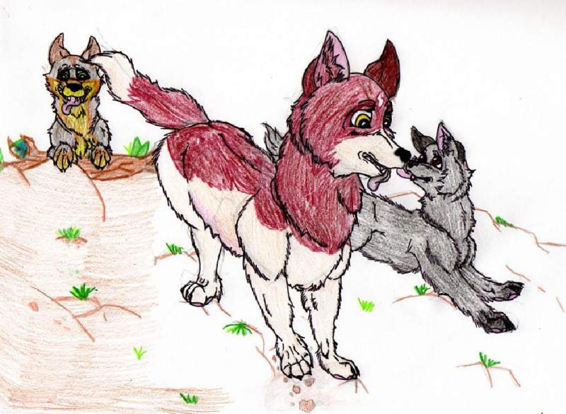 Wolves