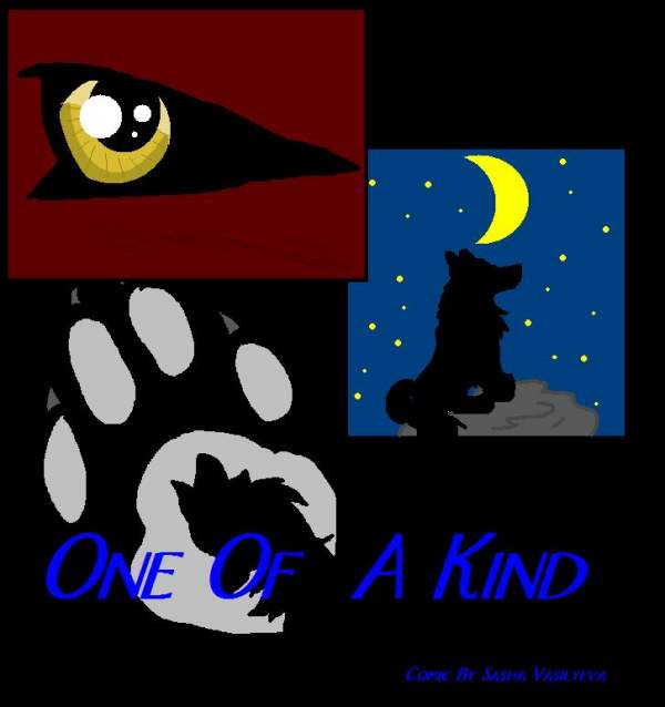 Cover for MY Comic