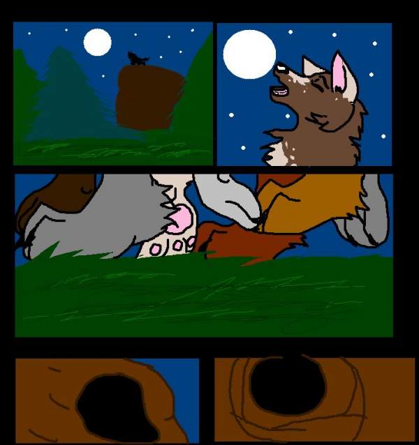 Pg 1