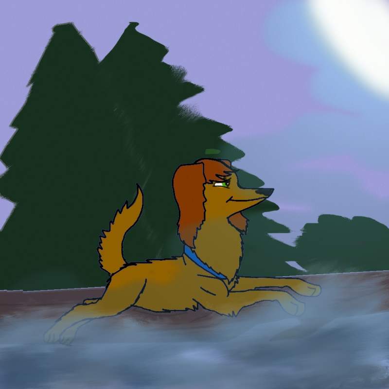 When the sun comes up and the mist comes rolling i