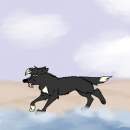 Ravenwing