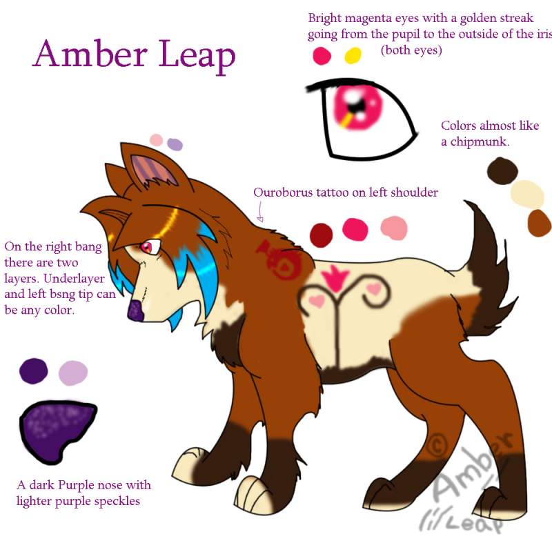 Amber's sheet