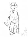 German Shepherd Type thing