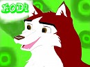Kodi