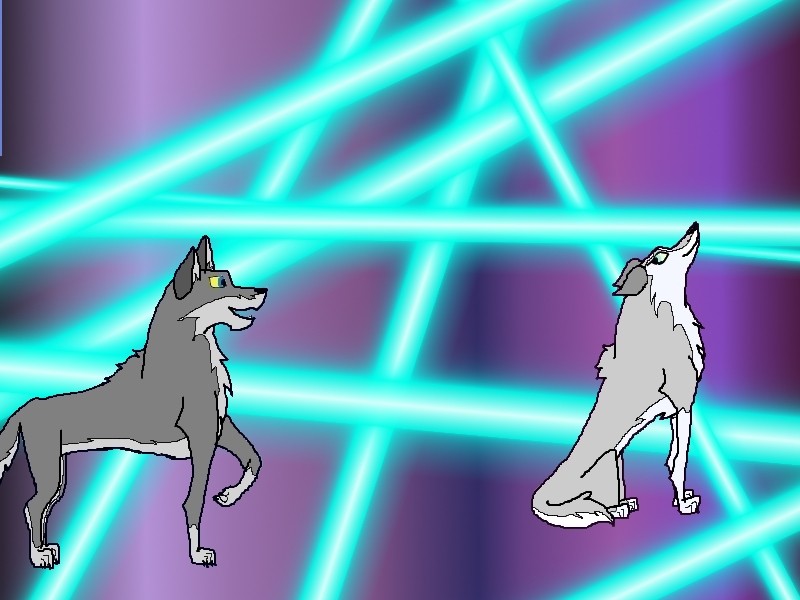 Amyoup et un loup