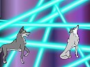 Amyoup et un loup