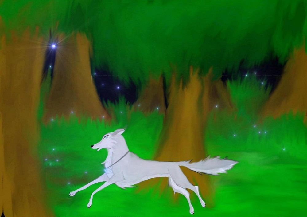 Amyloup dans la forêt