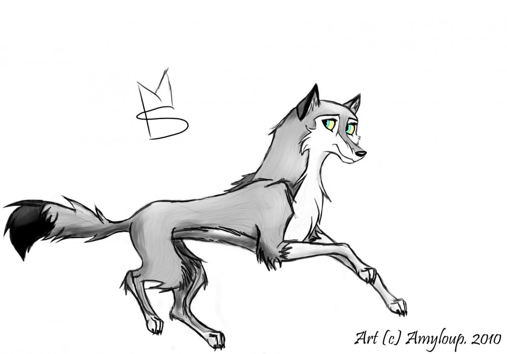 Amyloup 