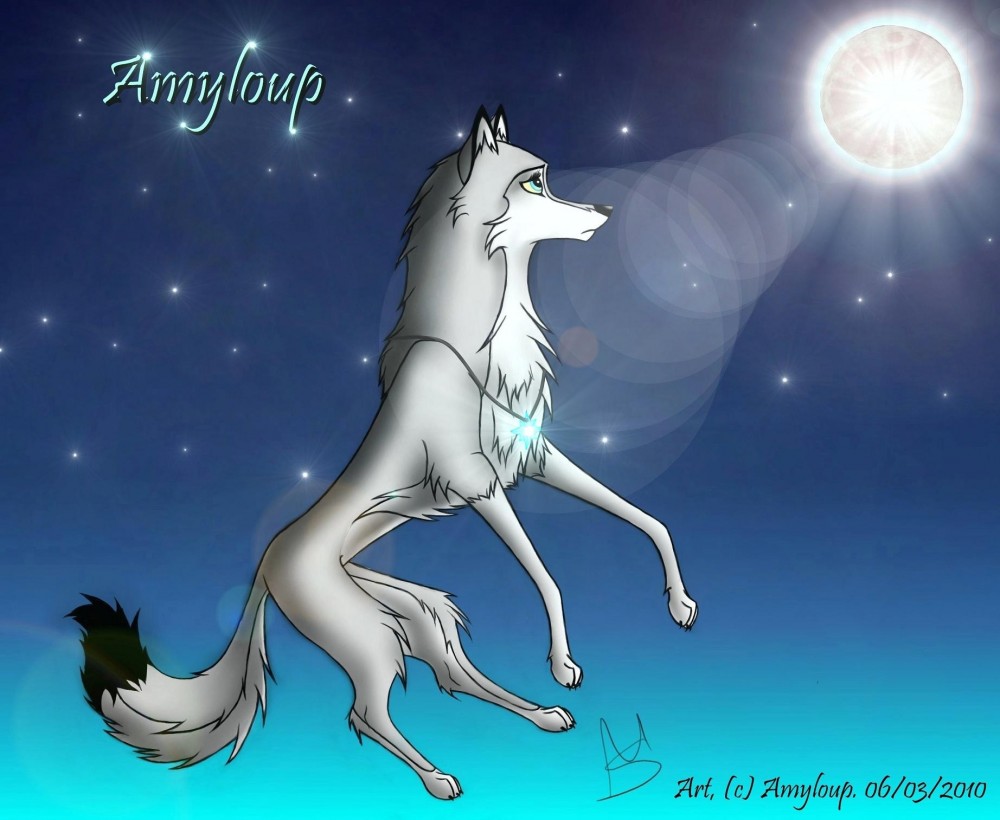 Amyloup in the sky