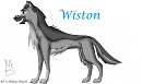Wiston 
