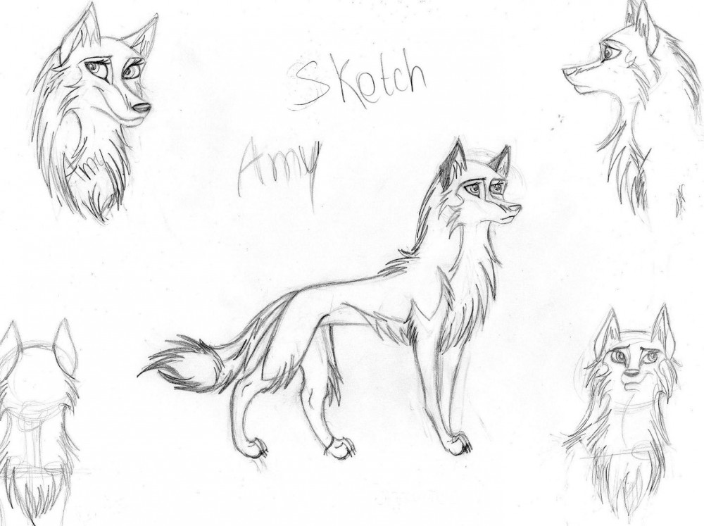 Sketch d'Amyloup.