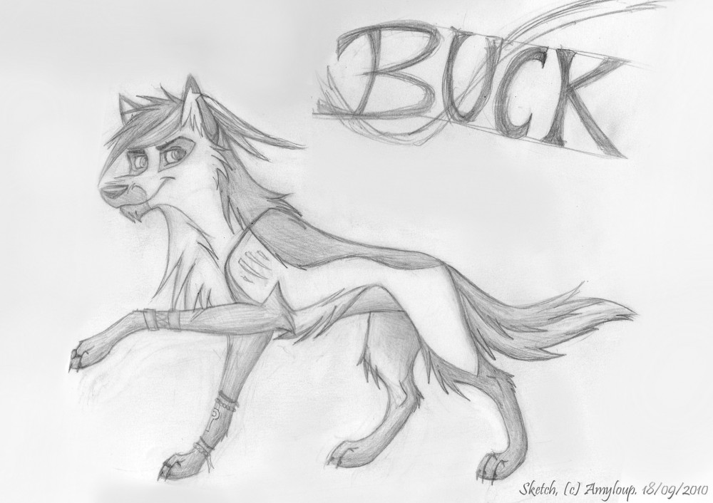 Sketch of Buck