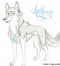 Amyloup