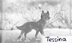 Tessina