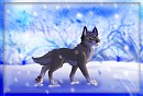 Happy Birthday Thythy - Balto