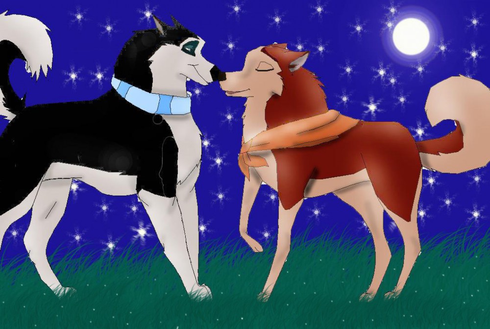 in the moon light