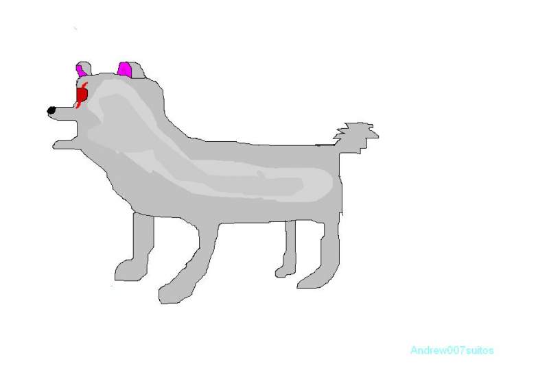 yes another dog