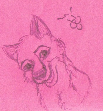 it's balto