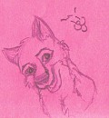 it's balto