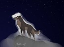 star Gazing 