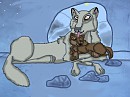 Aniu and Balto