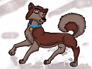 Dingo