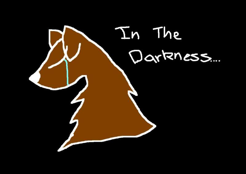 In The Darkness....