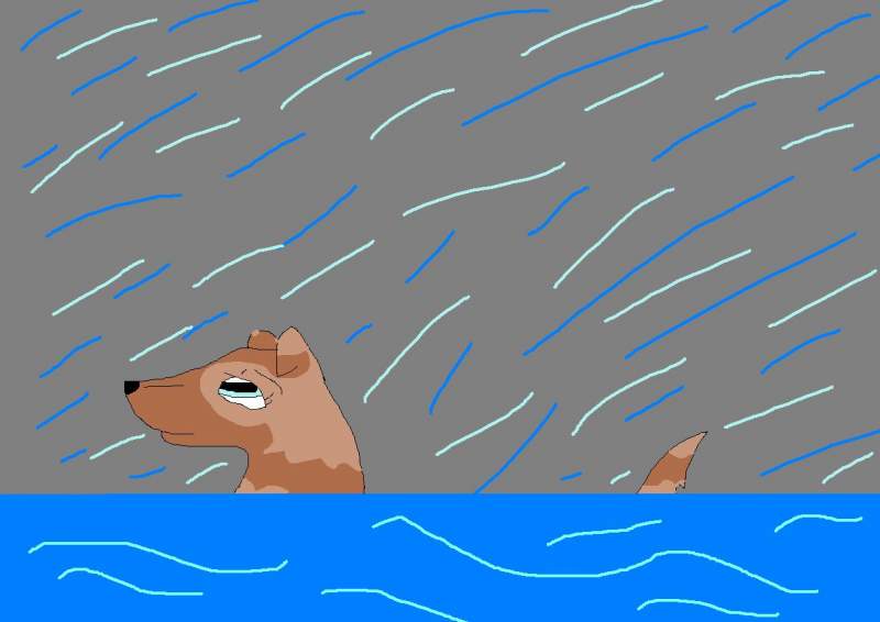 Rainy Day