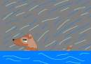 Rainy Day