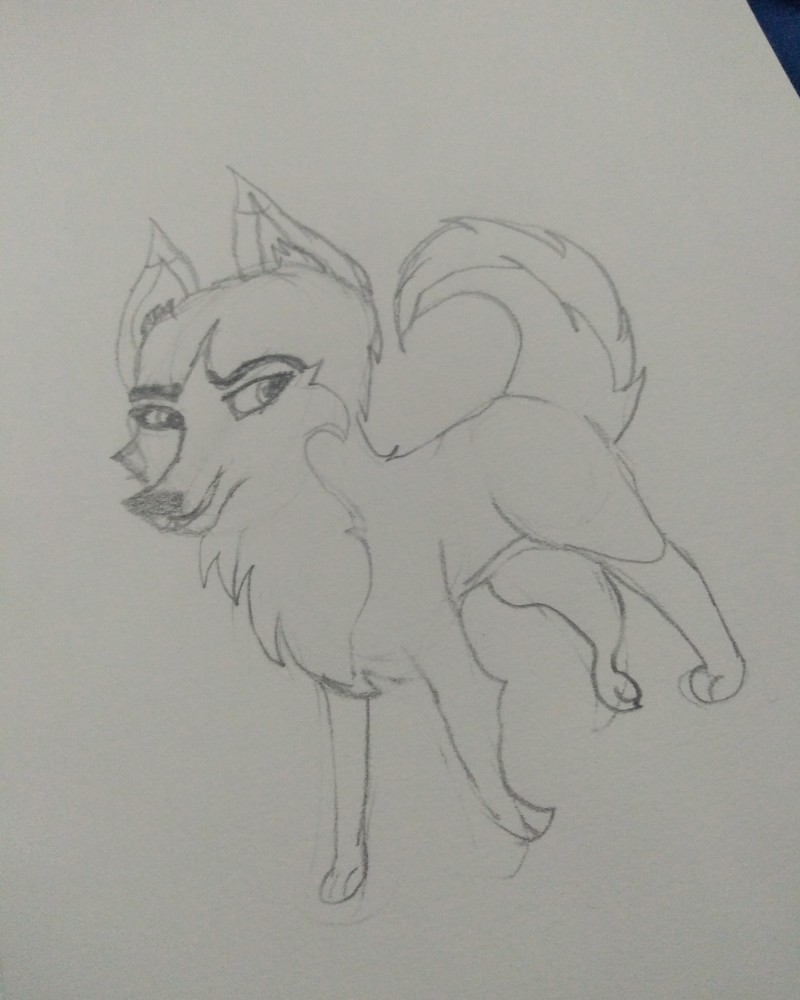 Puppy