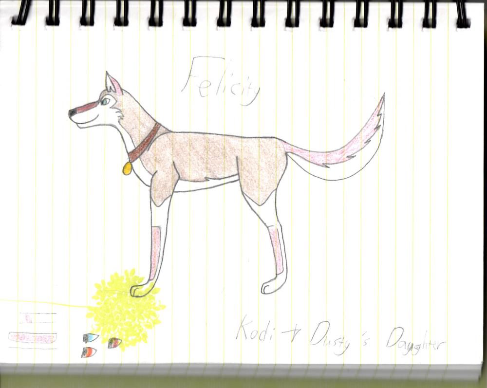 Felicity!