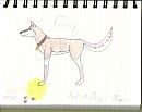 Felicity!