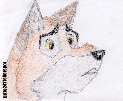 Balto Watches The Wolves