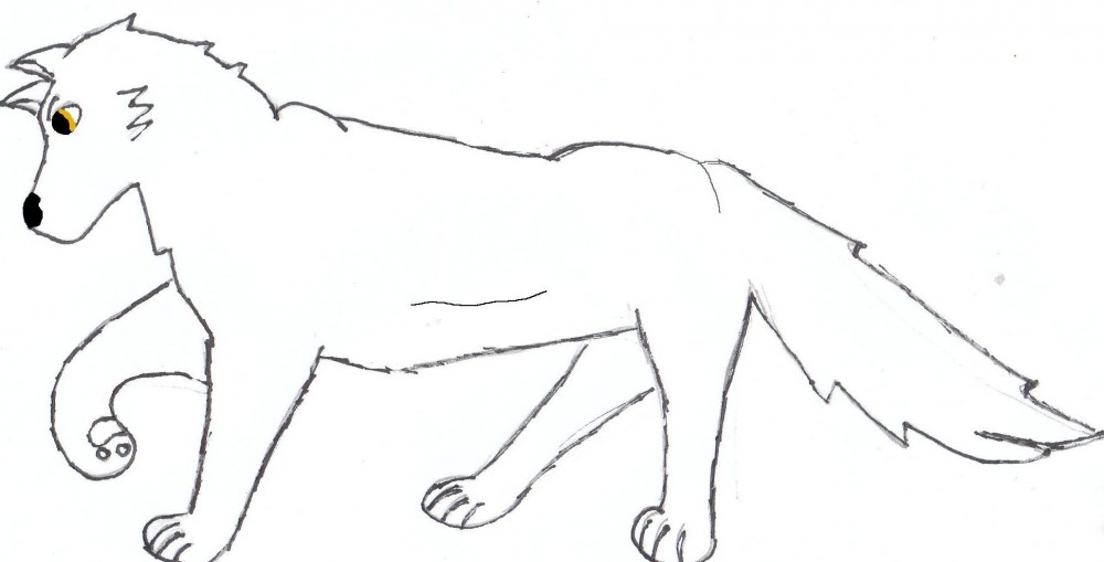 a scetch of Aniu?