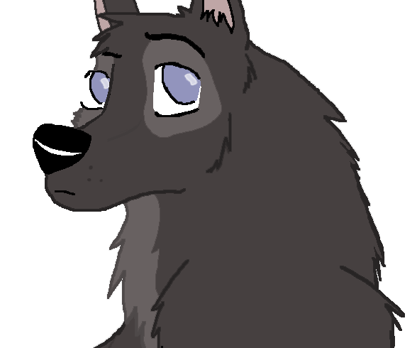 eerm a wolf