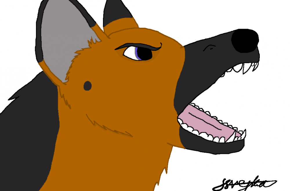german shepherd fail