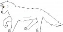 a scetch of Aniu?