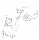 um some teen wolves