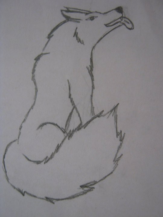fail wolf drawing