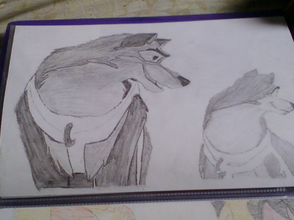 Balto et Kodi