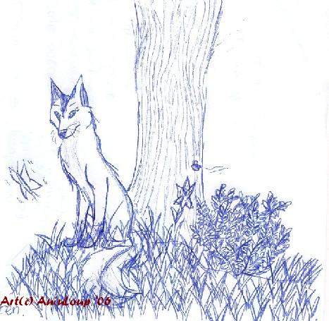 Fox in a meadow