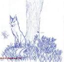 Fox in a meadow