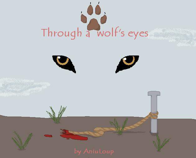 Through a wolf's eyes cover