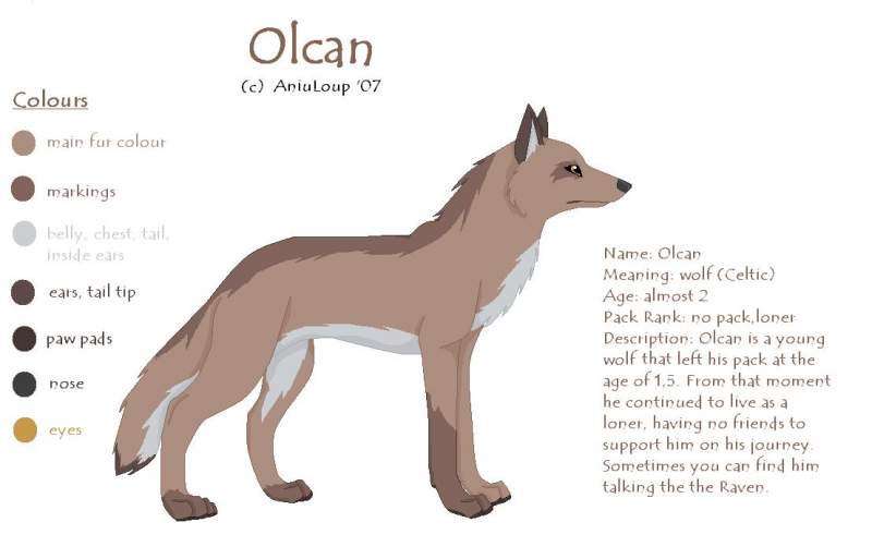 Olcan ref sheet