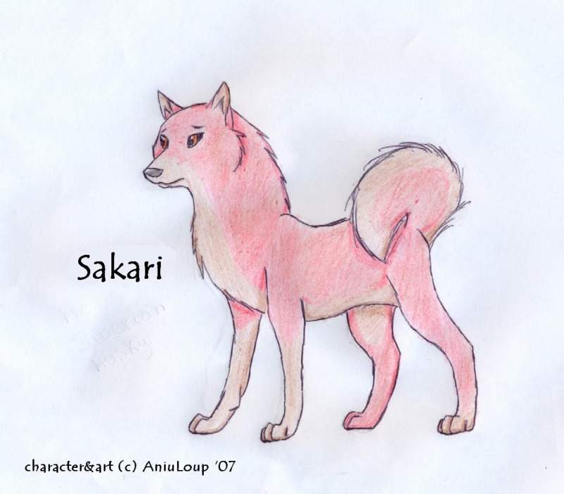 Sakari