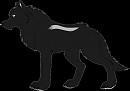 Argento